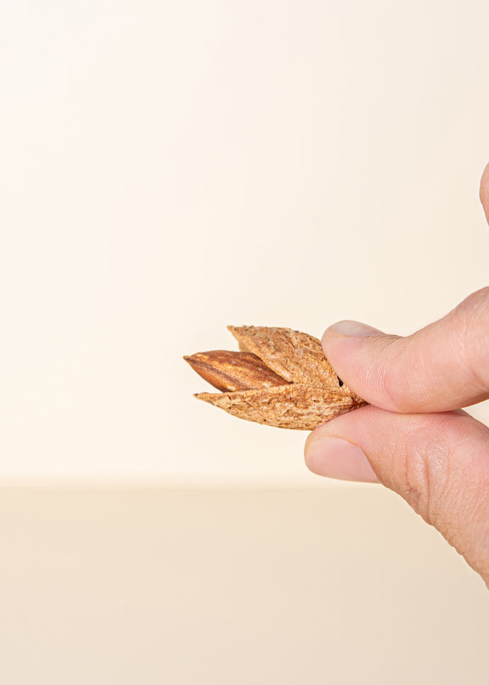 Almonds in shells 400g